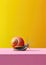 Snail in bright minimalist style. Snail mucin therapy concept.