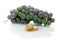 Snail and a bunch of grapes on a white background