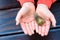 Snail on child hand on the terrace background