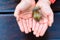 Snail on child hand on the terrace background
