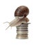 Snail with coins