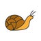 Snail color icon