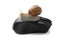 Snail on computer mouse. Concept speed internet slow