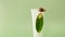 Snail cosmetics .Snails on a white tube and a green leaf on a light green background.Snail mucin.Snail extract. Organic