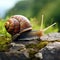 A snail is crawling on top of a rock, AI