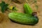 Snail creeps on a cucumber surface.