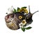 Snail decorated with flowers and leaves crawling top view