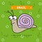 Snail design