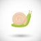 Snail flat icon