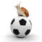 Snail and Football (clipping path included)