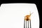 Snail on a fork against a white plate