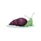 Snail gastropod mollusk with purple shell vector Illustration on a white background