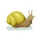 Snail gastropod mollusk with yellow shell vector Illustration on a white background