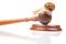 Snail and gavel of justice on a white background. The concept of slow adoption of laws and judicial decision. law and law in