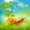 Snail In Grass Realistic