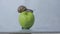 Snail on a green apple. Snail on an apple close-up. A snail is crawling over an apple.