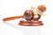 Snail and hammer of justice on a white background. The concept of slow adoption of laws and judicial decision. law and law in