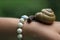 Snail hand bracelet green shell background 