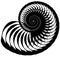 Snail, helix made of inward rotating circles. Abstract element i