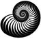 Snail, helix made of inward rotating circles. Abstract element i