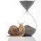 Snail and hourglass on a white background. The concept of slow time. Speed â€‹â€‹of time in a day