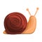 Snail icon, cartoon style