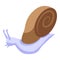Snail icon isometric vector. Slow slug
