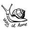 Snail with the inscription ` stay at home`