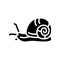 snail insect glyph icon vector illustration