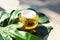 Snail and a jar of skin cream on green monstera leaf on concrete background.