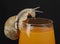 Snail on juice glass