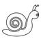 Snail mollusc contour outline line icon black color vector illustration image thin flat style