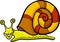 Snail mollusk cartoon illustration