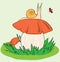 Snail, Mushroom, Ladybird