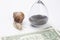 Snail next to the hourglass and dollars on a white background. speed and stability in increasing income. time for work and rest.