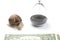 Snail next to the hourglass and dollars on a white background. speed and stability in increasing income. time for work and rest.