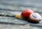 snail on old wooden surface