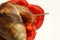 The snail is on a piece of fresh red pepper. White background. Close-up.