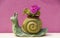 Snail pot on the walls of Burano, Venice
