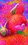 Snail in rainbow color crawling on strawberry. painted image