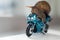 A snail rides a racing motorcycle, concept of speed and success, selective focus