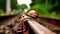 A Snail\\\'s Journey on the Rail. Generative AI