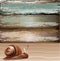 Snail on sand with wood background