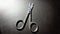 Snail scissors, small scissors, dark background