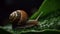 Snail with a shell climbs a green leaf. Generative AI