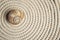 Snail Shell on Rope Spiral