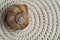 Snail Shell on Rope Spiral