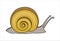 Snail, side view. Symbol of slowness. Modern flat  illustration.