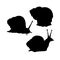 Snail silhouette. Black white icon. Vector illustration.