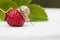 The snail sits on a Berries